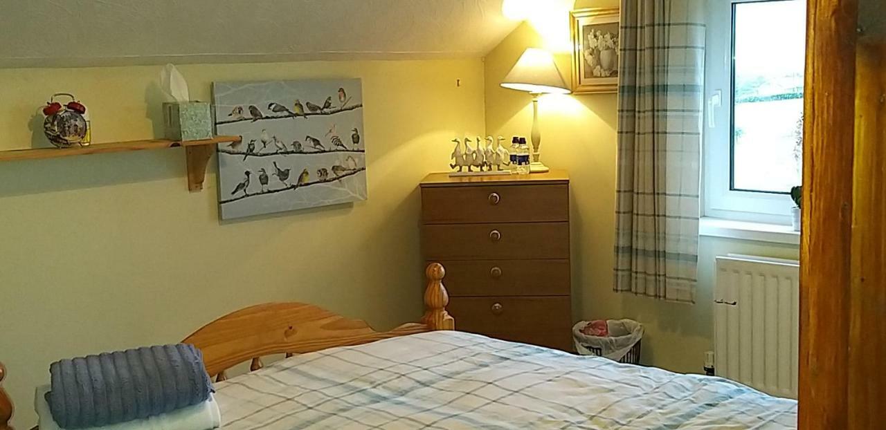 Antrim Heights Bnb Екстер'єр фото
