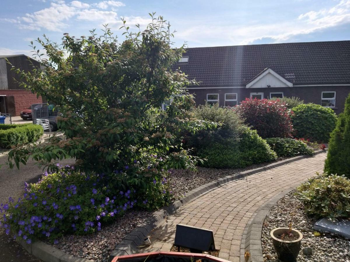 Antrim Heights Bnb Екстер'єр фото